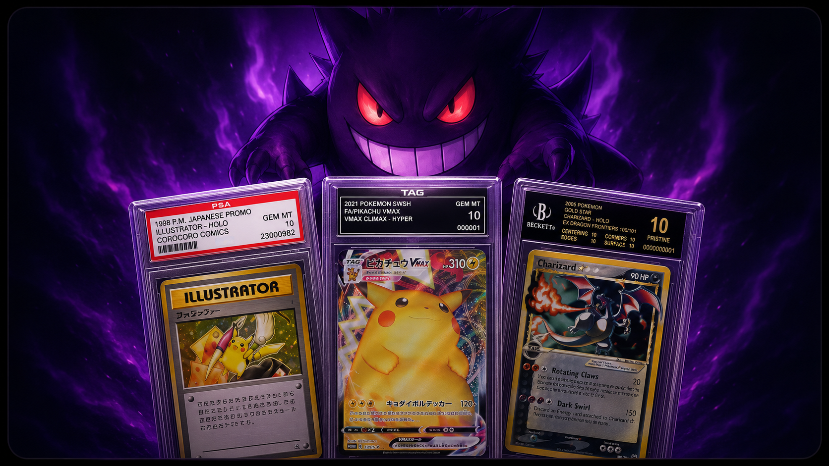 TC Gator collectible card showcase